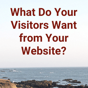 What Do Your Website Visitors Want?