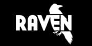 Raven Tools SEO Audits website reports monitoring 