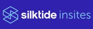 SilkTides Insites website Audit tools