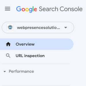 Website Performance Overview and URL Inspection Menu options