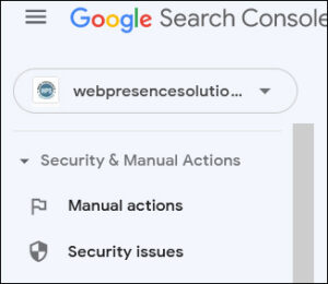 Website Security, Google Manual Actions Menu options